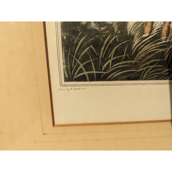 'Snipe Shooting Near Uxbridge' By Robert Havell Jr. Hand-tinted Aquatint Print - Picture 4 of 11